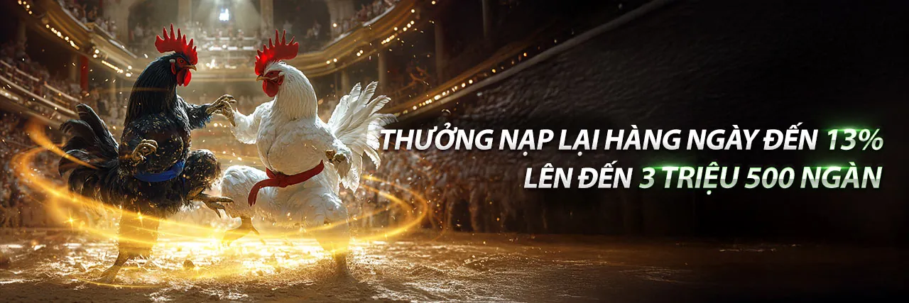 Đá Gà Trực Tuyến vuabai99 link mới - Sân đấu kịch tính